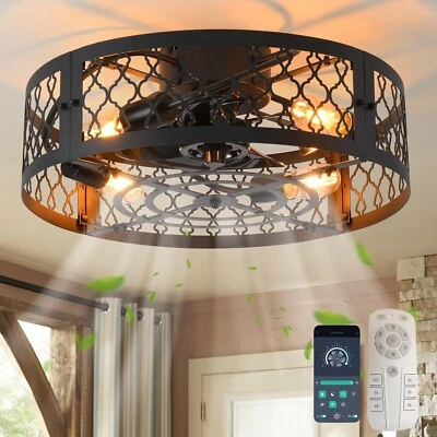 20in Caged Ceiling Fan with Light,Bladeless Black Fandelier Ceiling Fan with Rem
