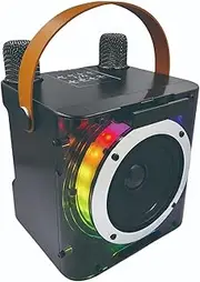 Daseeme Karaoke Machine with 2 Weless Microphones BT Microphone and Speaker KTV Set with RGB Light Effects Handheld Mic Lightweight Portable Karaoke System s for Bthday Home Party Outdoor