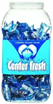 Center Fresh Spearmint Centre-filled Chewing Gum Jar cool breath 210 pcs FRSP