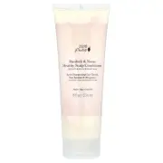 100% PURE, Burdock & Neem Healthy Scalp Conditioner, 8 fl oz (236 ml)