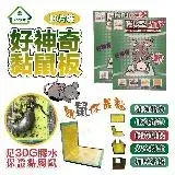 在飛比找遠傳friDay購物優惠-【好神奇】超黏黏鼠板20片裝(足30G膠水/展開大尺寸/環保