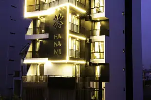 峴港哈娜米飯店Hanami Hotel Danang