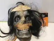 Hyde & Eek Mummy Chattering Skull Animated Halloween Prop Target 2017
