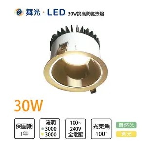 舞光 30W 挑防眩崁燈 15公分崁孔 適用5米 自然光 黃光 LED 全電壓 〖永光照明〗%LED-25123