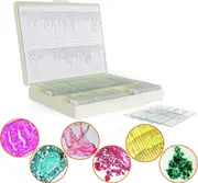 100Pcs Microscope Slides Specimens Insects Plants Animals Kids Students Science Learning
