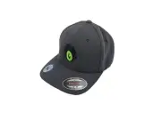 Groveland Gecko Flexfit Hat Bearded Dragon Crested Gecko Reptile Lizard Snake...