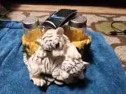 DWK Corporation White Tiger Salt and Pepper shakers