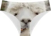 [DDFS] Imagine Women Low waisted Brief Sexy Breathable Seamless Underwear Stretch Laser Cut Print Hipster Panty