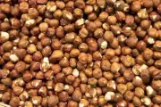20 LB DeSeba Whole Shelled Hazelnuts Nuts Raw Unsalted Filberts ~ KOSHER ( U )