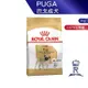 【ROYAL CANIN 法國皇家】 巴戈成犬專用乾糧(PUGA_3kg)｜皇家粉絲團 巴戈犬飼料 成犬飼料 狗飼料