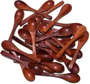 Wooden Masala Spoon for Small Containers- Set of 12