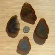 4 Mini Geode Ends Polished Agate Rock Slices Gray Brown Crystals Fine Banding