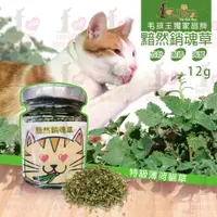 在飛比找樂天市場購物網優惠-☆PRO毛孩王☆獨家商品 毛孩王 黯然銷魂貓草 12g 純天