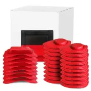 Biomagnetism FERRITE Magnets 29 Units KIT