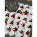 日本旋風｜菊池糖蜜草莓18-30玉