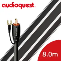 在飛比找PChome24h購物優惠-美國線聖 Audioquest Subwoofer BLAC