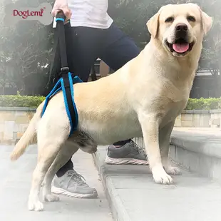 寵物輔助帶 狗狗輔助帶 狗狗輔助衣 老犬輔助帶 高齡犬 寵物腿部走路支架護帶 後腿殘疾受傷高老齡 狗狗樓梯輔助帶揹帶