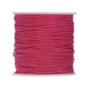 1mm Dia 328ft Latex Elastic String for Bracelet Stretchy Cord, Rose Red