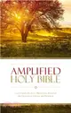 Holy Bible ─ Amplified, Captures the Full Meaning Behind the Original Greek and Hebrew