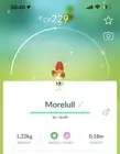 Shiny Morelull - Trade 1 million stardust - unregistered trade