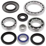 New ALL BALLS Rear Differential Bearing & Seal Kit For SUZUKI 25-2041