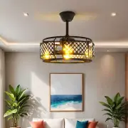 19" Caged Ceiling Fan w/ Lights Remote Control Chandelier Lighting Decoration