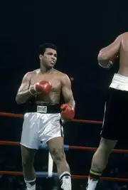 Muhammad Ali looks for an opening v Alfredo Evangelista at a WBC/W- Old Photo 3