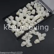 50 Pcs Dental Temporary Crown Veneers Anteriors Front Synthetic Resin Teeth
