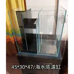 45*30*47 水族缸 側濾缸 背濾缸 底濾缸 淡水缸 海水缸 訂製缸 台北 雨林缸 水陸缸 生態缸 金魚缸 青蛙缸