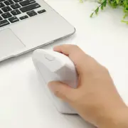 Wireless Mouse PC&Game Ergonomic Design Vertical 1600DPI Optical—Battery vers CR