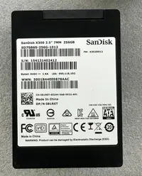 在飛比找露天拍賣優惠-|議價商品|Sandisk/閃迪 x300 x400 256