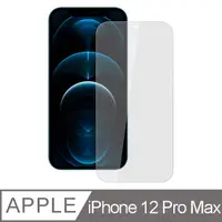 在飛比找PChome24h購物優惠-【Ayss】Apple iPhone 12 Pro Max/