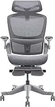 Writing Stool High-Back Mesh Office Chair, Desk Chair with Adjustable Headrest and Flip The Armrest, Swivel Computer Chair with Footstool Stylish