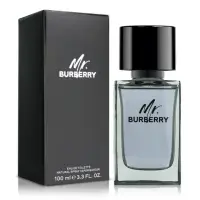 在飛比找momo購物網優惠-【BURBERRY 巴寶莉】Burberry Mr. Bur