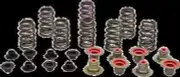 KW Intake Exhaust Valve Spring Kit for Polaris Ranger XP 900 14