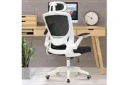 Ergonomic Mesh Office Chair with Lumbar Support & Headrest