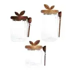 Glass Jar with Wood Lid and Spoon Tea Jar Clear Spice Jar Food Storage Container