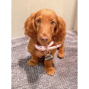 【美好毛日】澳洲Happy Go Puppy 編織項圈-暖嫩粉