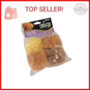 Armaly Proplus 15204 The Natural Sea Sponge, 4