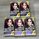 Garnier Nutrisse Nourishing Hair Color Creme Dark Violet,Spiced Plum V2(Lot Of5)