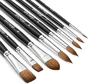 Sable Watercolour Brushes Professional - 8 Pcs Sable Paint Brush Set Variety Shapes with Flat, Round, Cat's Tongue, Oval Wash Perfect for Watercolour, Inks Painting | Excellent Color Carrying Capacity