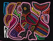 Pink Big Foot Parrot Bird Mola