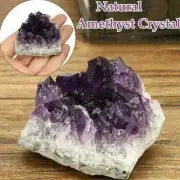 1xNatural Amethyst Quartz Geode Crystal Cluster Healing Specimen Decor hot W1G6