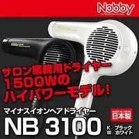 在飛比找Yahoo!奇摩拍賣優惠-日本製 TESCOM Nobby NB3100 專業 沙龍 
