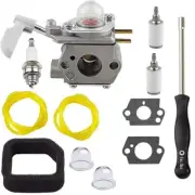 308054114 308054075 Carburetor for Homelite UT09526 26cc Blower with Tool