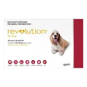 Revolution For Medium Dogs 10.1 To 20Kg (Red) 12 Pack