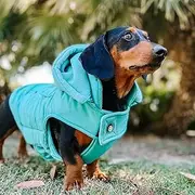 Huskimo Dog Coat Mt Buller Periwinkle, Purple 46cm – Dog Coat with Removable Hood, Waterproof Dog Jacket with Subzero Fleece Lining, Adjustable Fit, Pocket, Lead Hole, Machine Washable