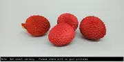 Buy Lychee Kiamana Fruit Trees (Litchi chinensis)