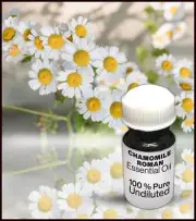 Chamomile Essential Oil 100% Pure Undiluted (10ML-500ML)