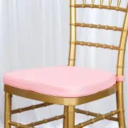 Blush POLYESTER CUSHION for CHIAVARI CHAIR Wedding Ceremony Dinner Decoration